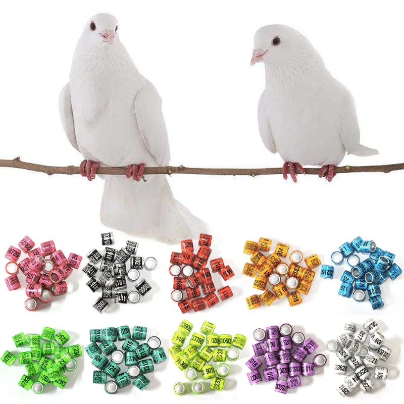 50 Pcs Mixed Color Dove Bands Bird Foot Ring Species Identify Training Rings Pet Bird Label Sign for Pigeon Dove Chicks Small Po
