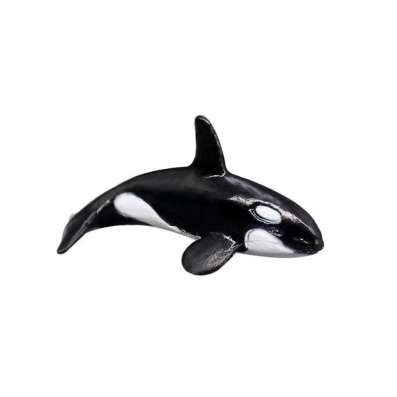 Simulation Ocean Animal Model Small Beluga Sperm Whale Sea Turtle Aquarium Miniature Decor Fish Tank Accessories Figurines Toys 5 Simulation Ocean Animal Model Small Beluga Sperm Whale Sea Turtle Aquarium Miniature Decor Fish Tank Accessories Figurines Toys 5