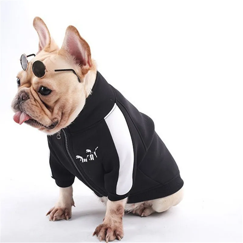 With sunglass Зимняя одежда для собак, крутая Спортивная одежда для французского бульдога, одежда для маленьких собак на молнии, стильные куртки - Цвет: With sunglass