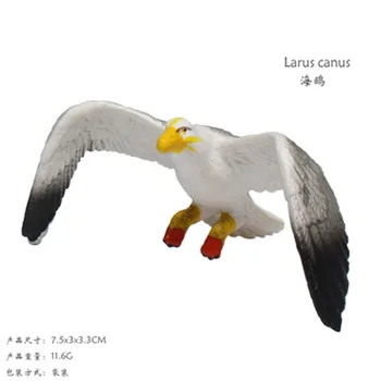 

New Seagull Model Toy Decoration Simulating Static Animal Model Animal World Toys Seabird Model
