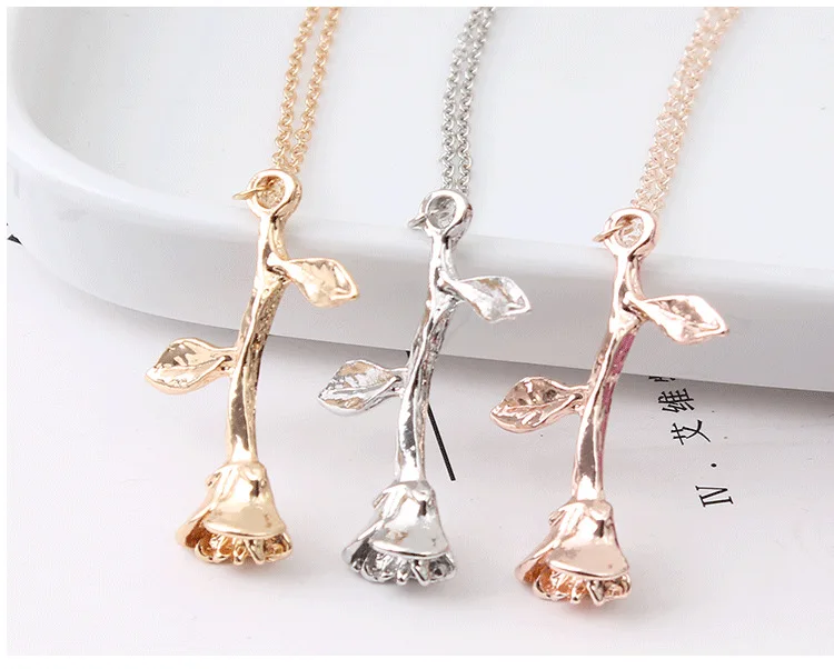 7682132279_204193426