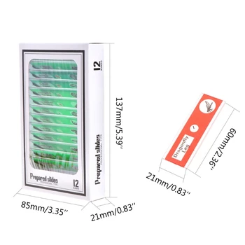 

48 Pcs Prepared Microscope Slides Specimen Animals Insects Plants Flowers Sample