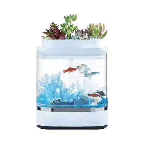 only tank no decor