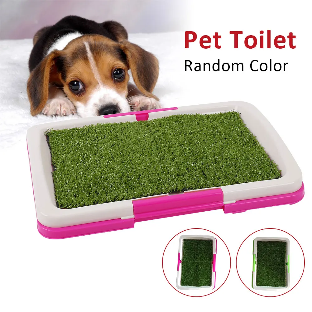 SOLEDI Pet Toilet Pad Grass Mat Indoor Tray Potty Litter Urinary Dog Supply Home Pet Accessories Pet Mat Training Tray For Home|Litter Boxes| - AliExpress
