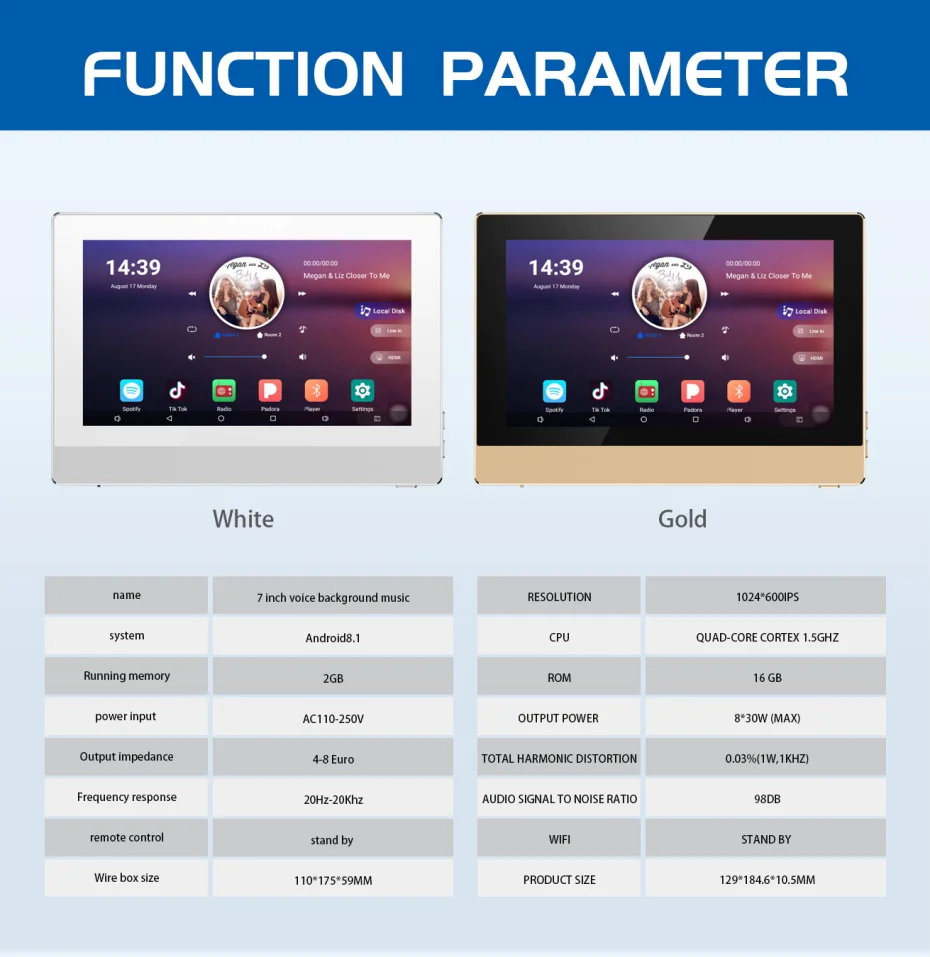 bluetooth amplifier (5)