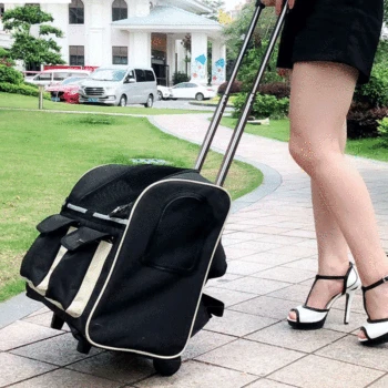 

Pet Carrier Backpack with Wheels for Dog/Cat, Multiple Uses Cat/Dog Travel Carrier Bag/Fashion Trolley Roller Bag/Travel Bag