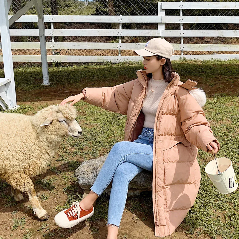 

Photo Shoot New Style down Jacket Women's Tennis Red INS Cotton Coat Korean-style Fashion Loose And Plus-sized Cotton Coat Woole