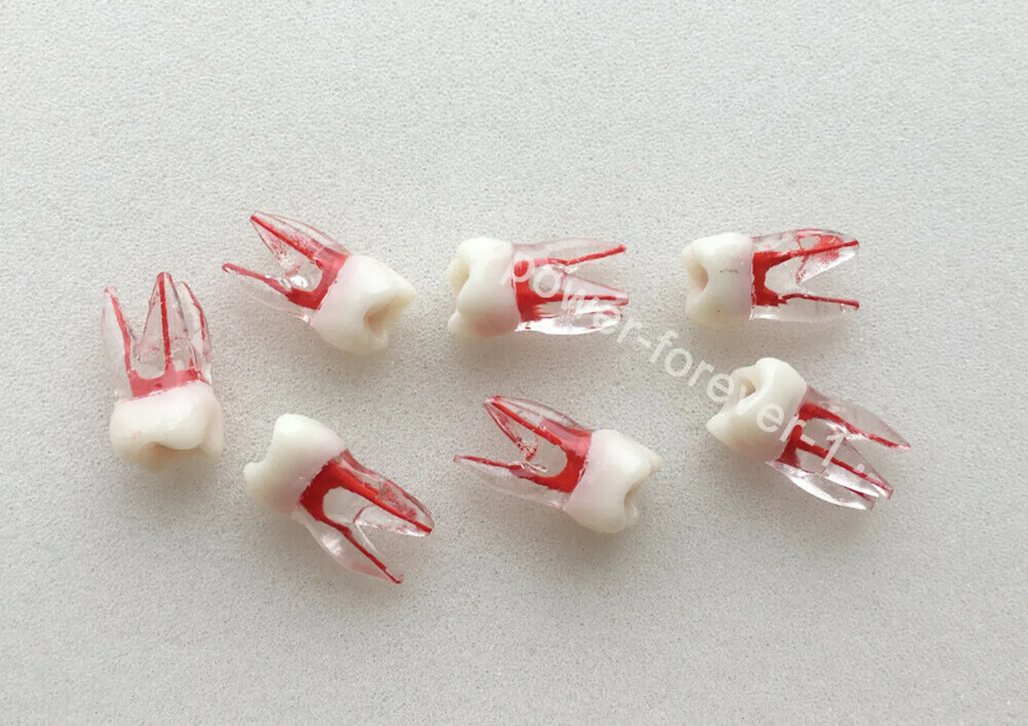 

50x Dental Endo Root Canal Filling MTA Teeth Pulp Model Files Block Crown Study
