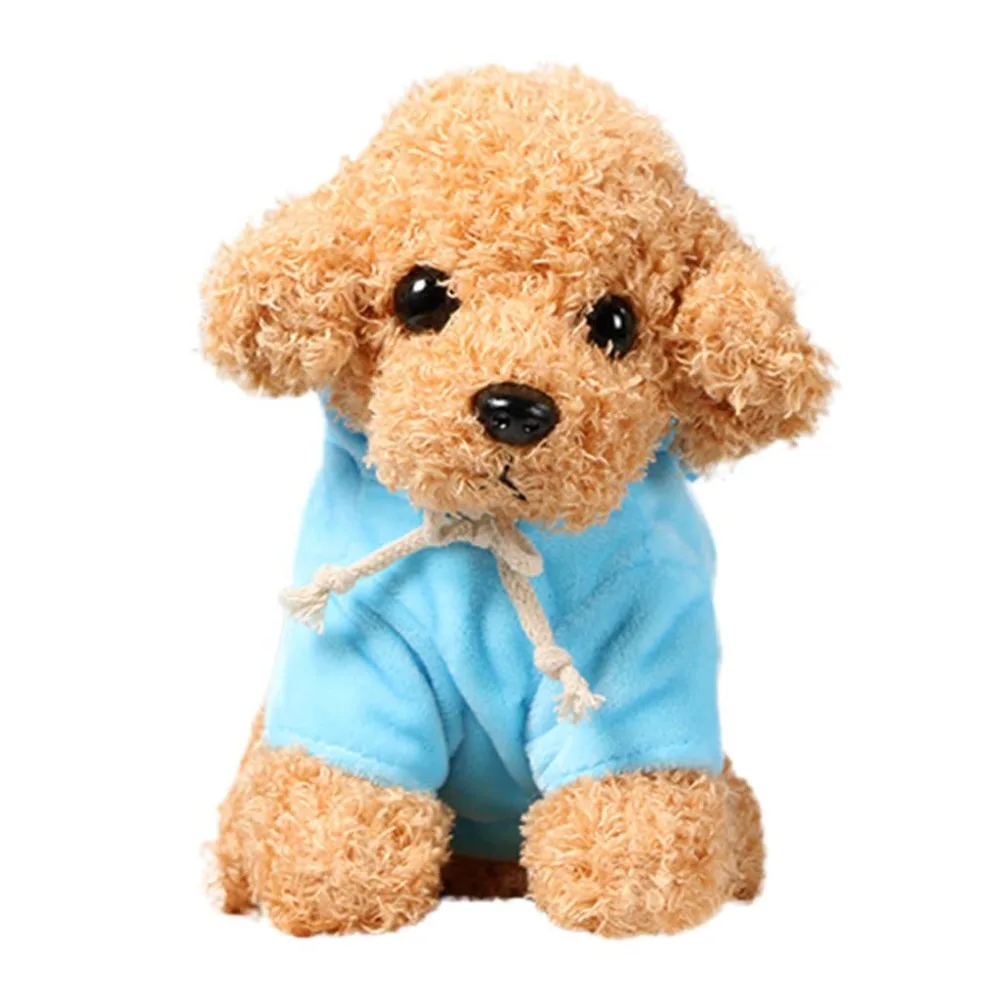 Teddy Dog Rag  (31)