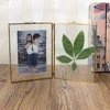 Metal Chain Hanging Glass Double Sided Photo Picture Frame Wall Display Frame Dried Plant Flower Artwork Display Frame Decor ► Photo 3/6