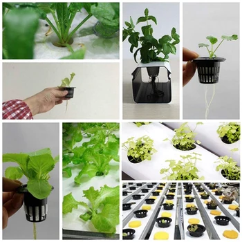 

50 Pcs Plant Net Pots, Reusable Plastic Cups, Slotted Design for Healthy Root, for Hydroponic, Aquaponic System