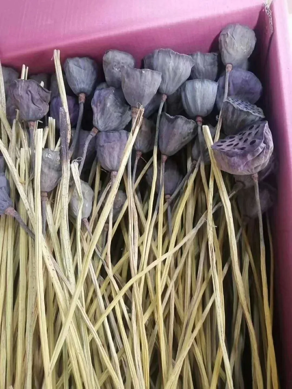 微信图片_20200730172300