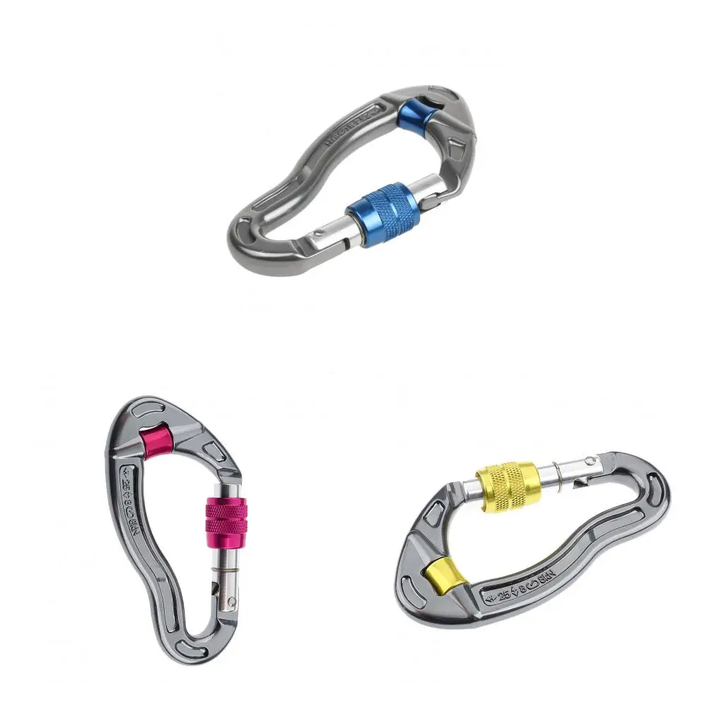 Screw Locking Mountaineering Carabiner 6