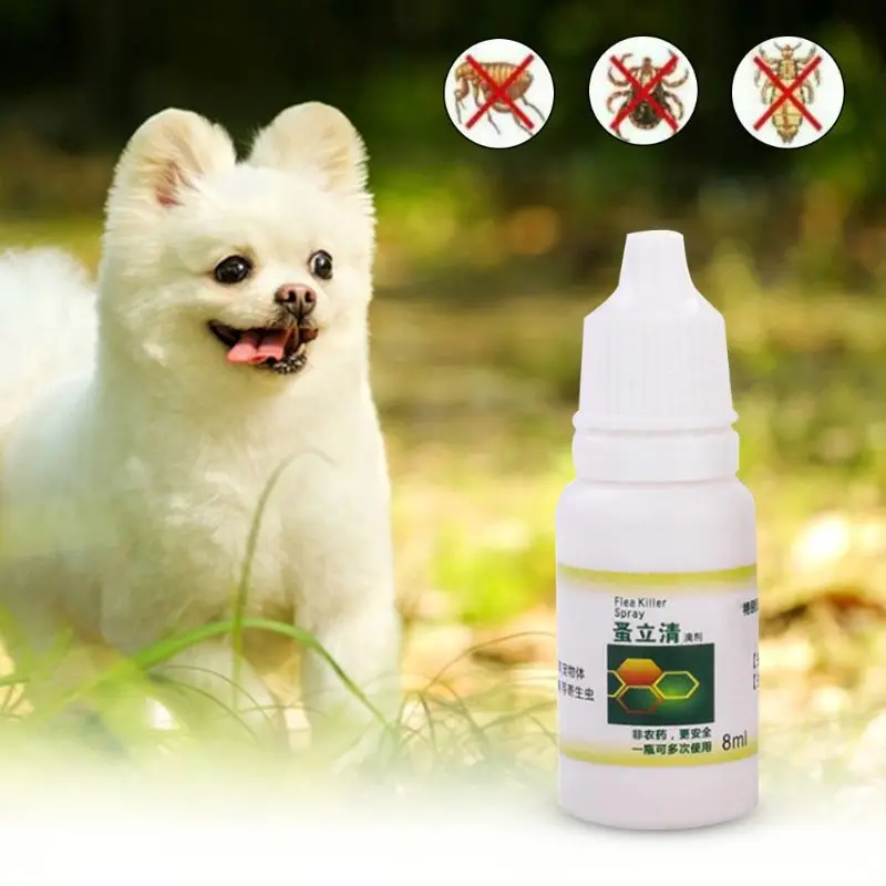 Pulga y garrapata para perros y gatos, insecticida antipulgas para piojos, removedor de insectos, líquido, 8ml