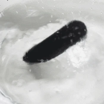 Sex Shop Remote Control Lace Panty Mini Vibrator Sex Toys For Women Strap on Underwear Clitoral Invisible Vibrating Bullet Eggs. 6