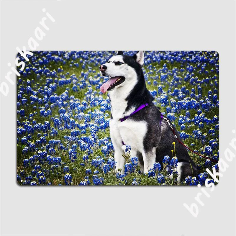 ハスキー犬の金属の歯のポスター家族の庭のポスター印刷クラブバーのブリキの看板のポスター 飾り額 看板 Aliexpress