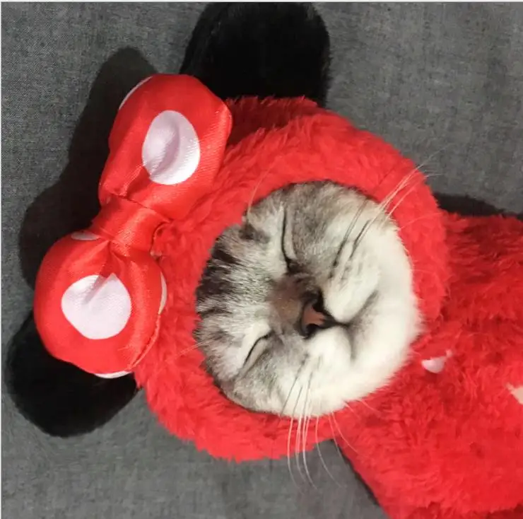 Одежда для кошек милый котенок котик, одежда для Хэллоуина, вечерние костюмы для животных, костюм для костюмированной вечеринки