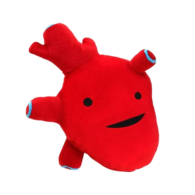 Human Organs Plush Toys Cartoon Stuffed Preschool Education Dolls Soft Large Intestine Heart