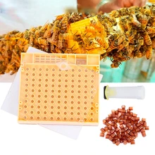 Набор инструментов для пчеловодства, королевская система выращивания, коробка для выращивания 110 шт, Набор чашек для пчеловодства, королевская клетка