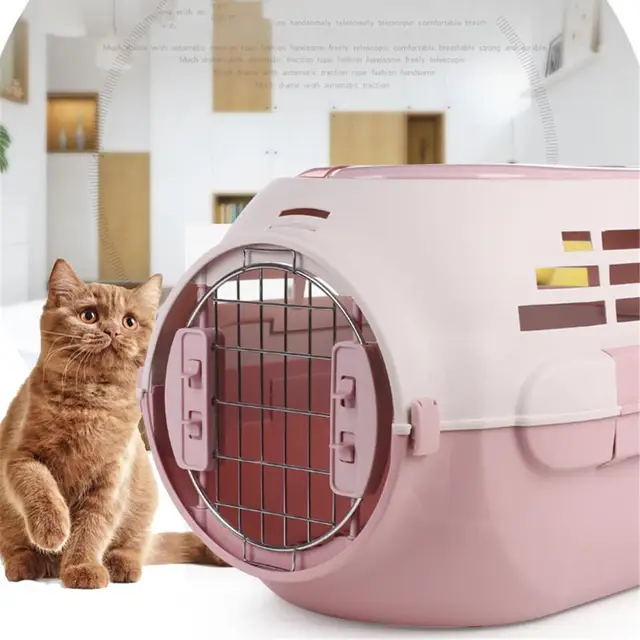 caisse de transport chat en avion pour chat – Image 6