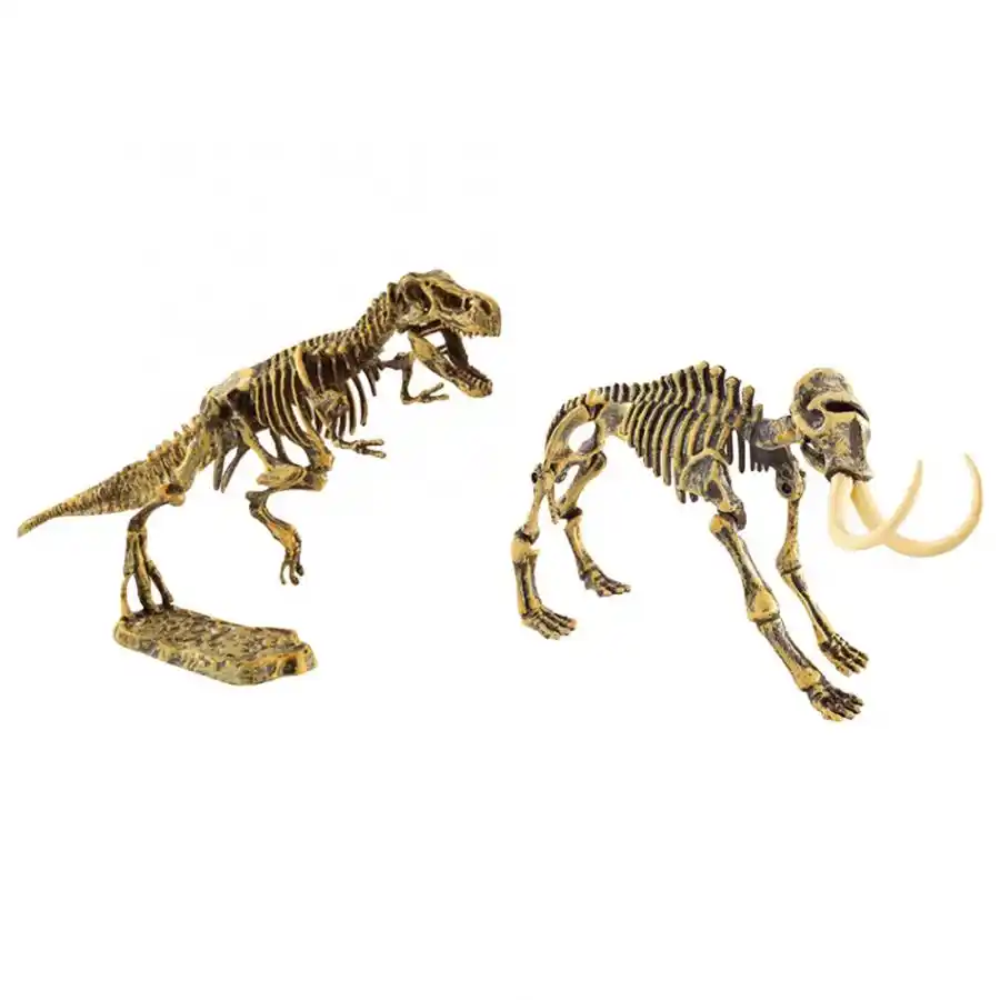 dinosaur bones toys