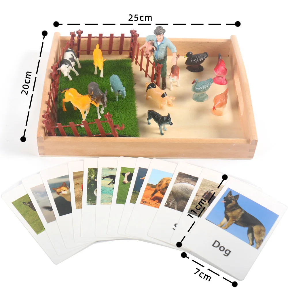 Jogos de Animais para Crianças, Ordenar, Esconder Brinquedos, Atividades de  Aprendizagem Pré-Escolar, Conjuntos Sensoriais Educacionais, Montessori -  AliExpress