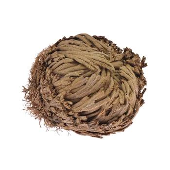 

Multi-size Magic Resurrection Plant Rose For Home Decorative Wild Plant Air Fern Selaginella Moss Dried Flowers