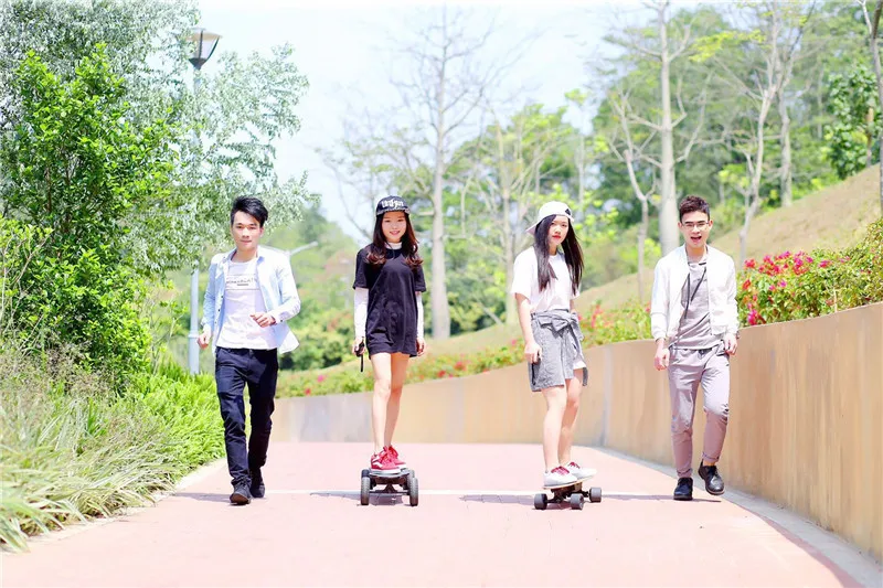 Daibot Portable Electric Scooter 4 Wheel Electric Scooters Removable Battery Dual  Hub Motor Wheel Longboard Electric Skateboard (22)