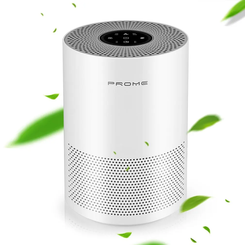 

PROME Air Purifier with True HEPA Filter Actived Carbon Layer Filter Odor Allergies Eliminator Air Cleaner for Home Office