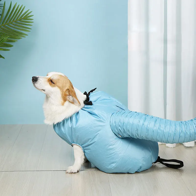 Dog Dryer Puff Dog Grooming Dryer Pet Hair Dryer Blower Summer French Bulldog Chihuahua Fluff