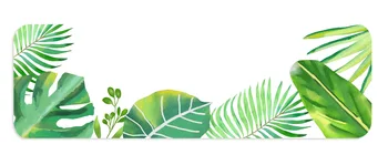 

Bathroom Diatomite Quick-drying Soap Pad Holder Toothbrush Toothpaste Cup Storage Container for Bath Shower Plate 22.5*7