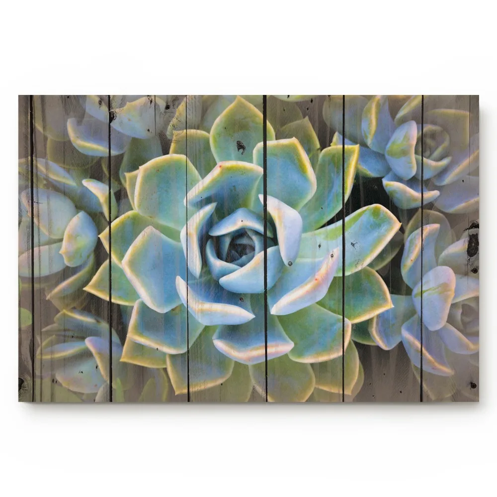 Hfeeb016ba3fa46d5bea6e8cd4bc0e6aeg