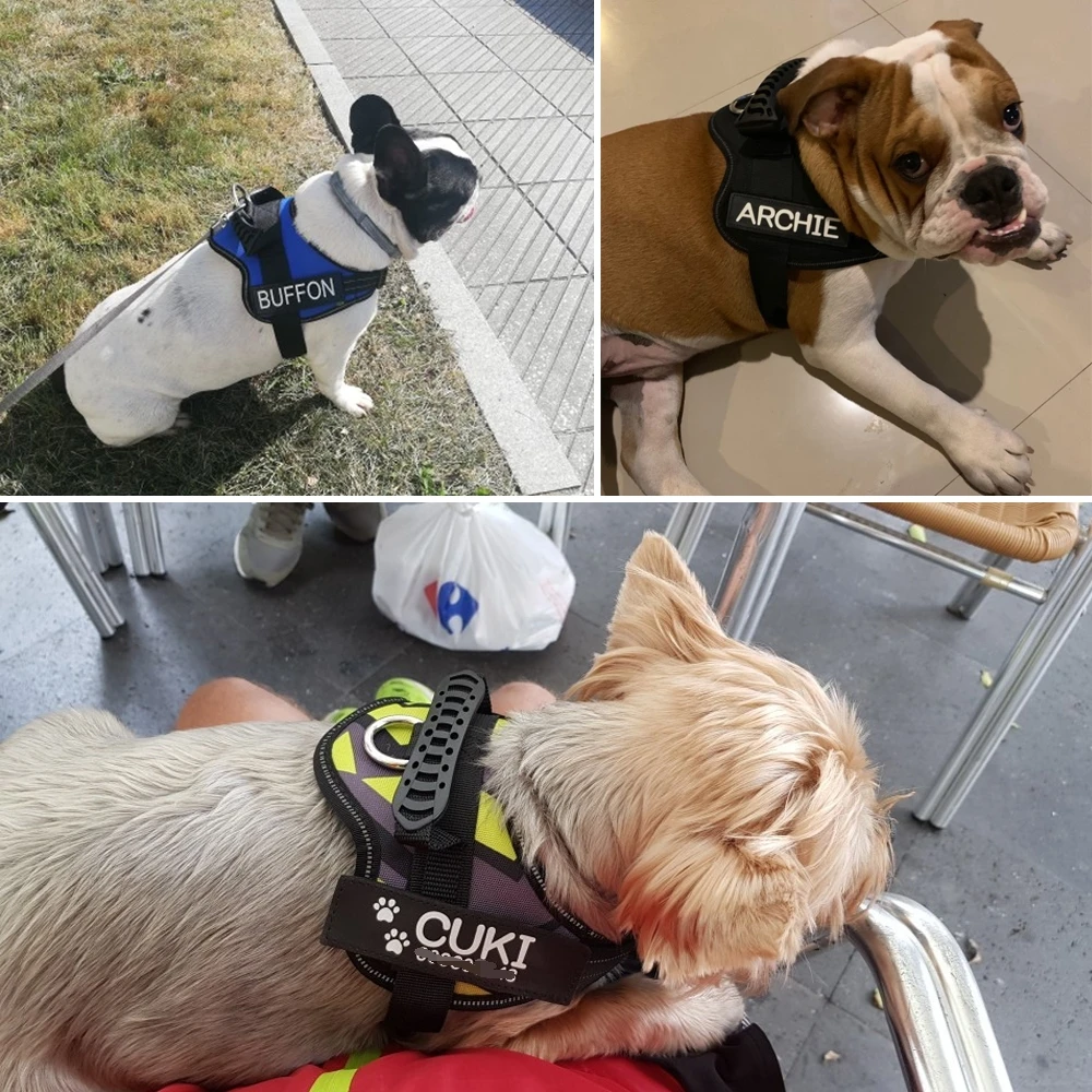 Personalized Reflective Nylon Dog Harness - Adjustable No Pull Design
