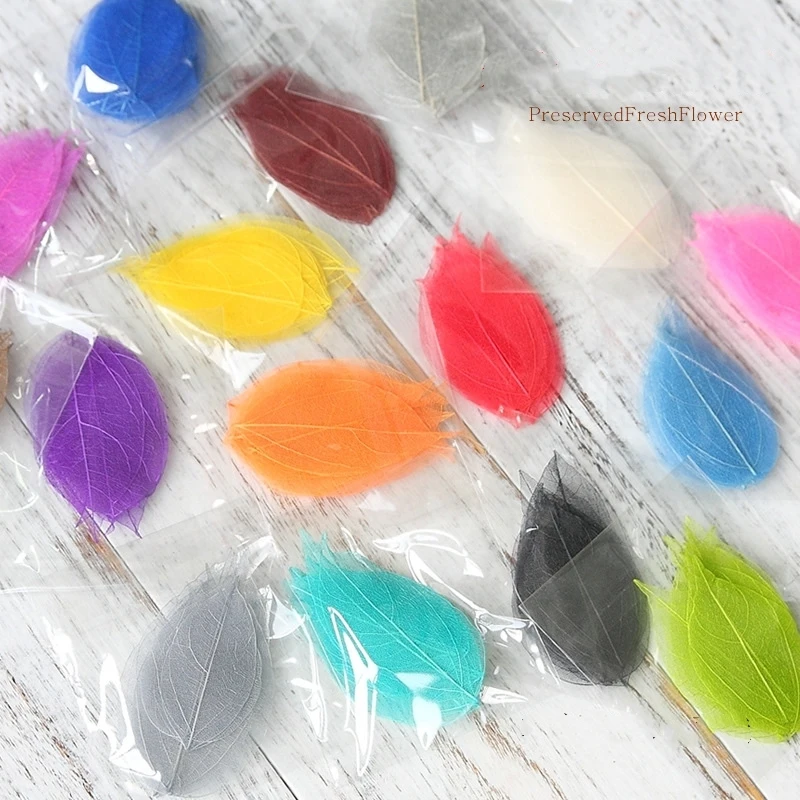 

100 шт. высушенных настоящих сохраненный свежий вен лист для нейл-арта, ювелирная Закладка чехол для телефона приглашение макияж карты «сделай сам»