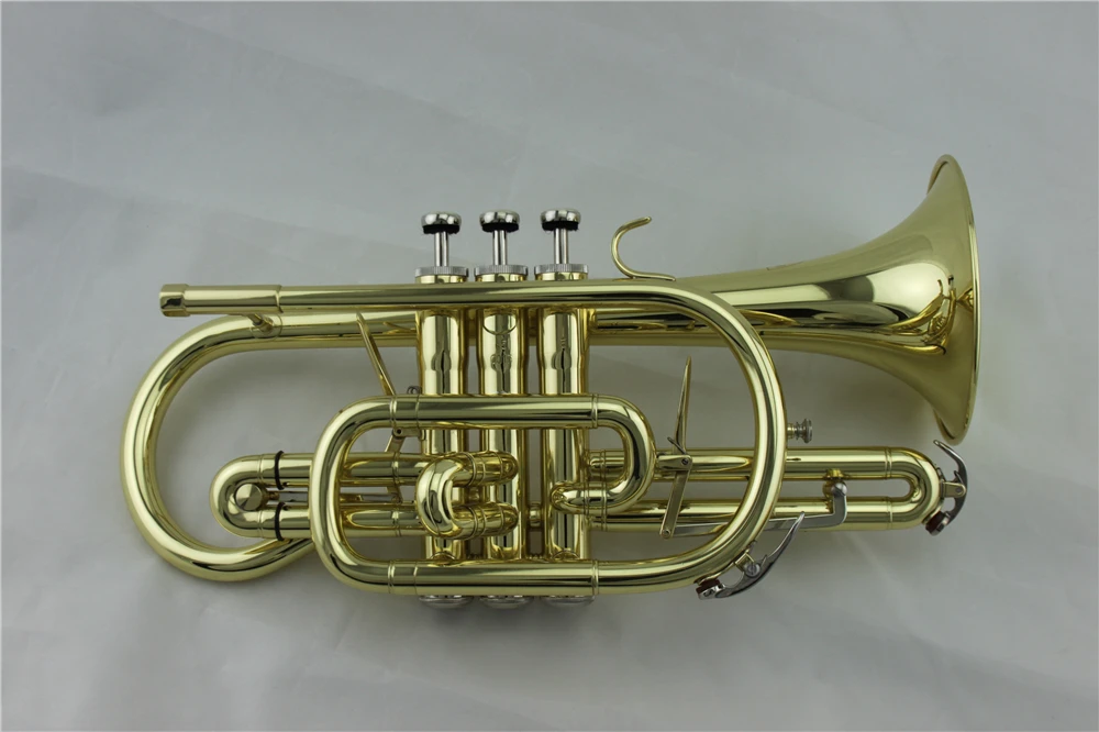CT8562 (1)