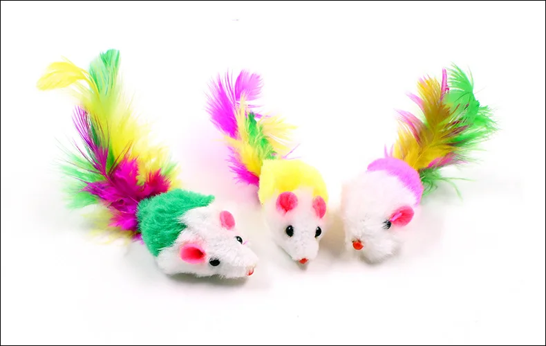 4559957687_1041227635