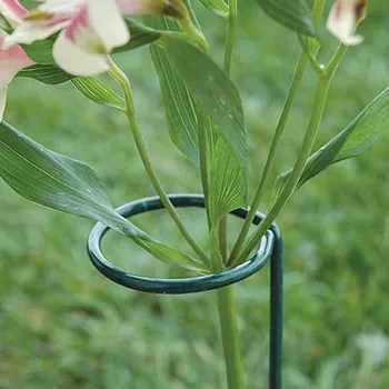 

4Pcs Plant Support Stakes Garden Flower Stand Holder Stake For Tomatoes Lily 45cm / 17.7 Inch For Flowers Tomatoes