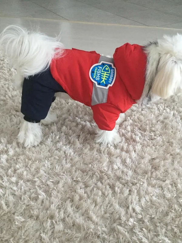 U661ca823f32046ca8c5d19c9f91b60dfu