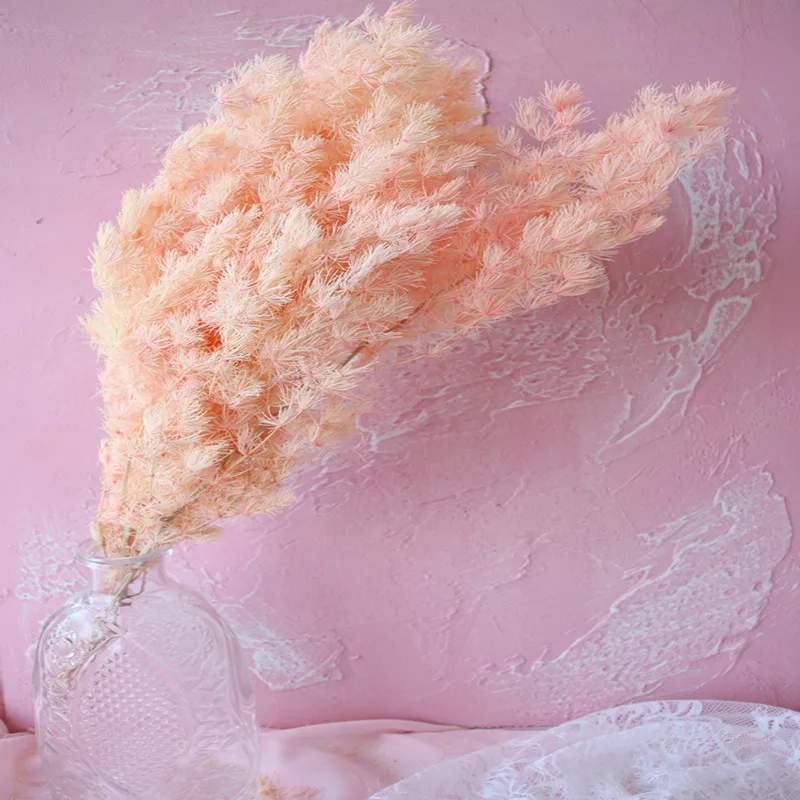 O1CN012eHf2m1plhgl62Z1o_!!681845401