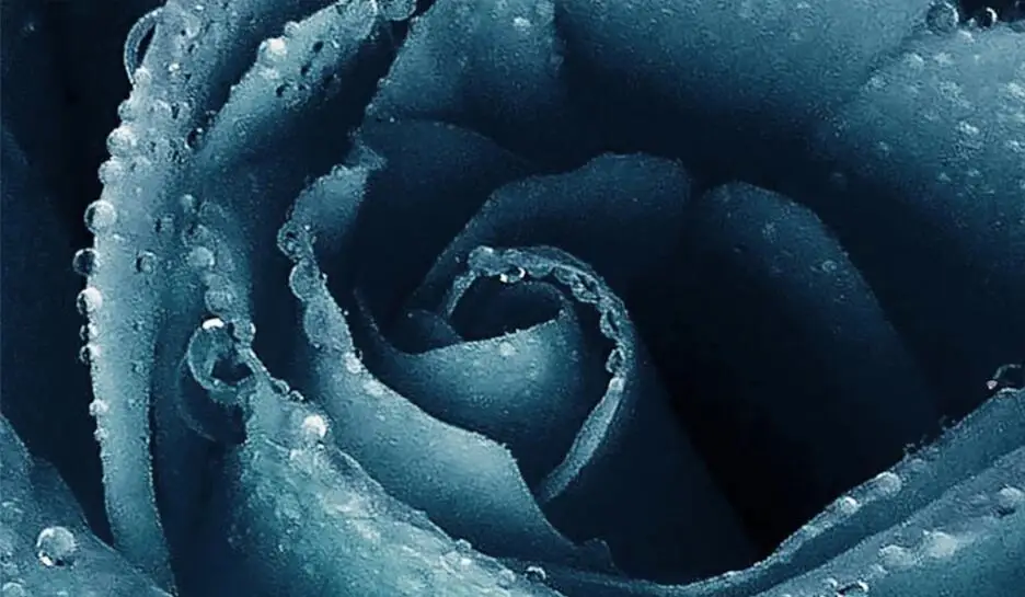 QQ截图20200127220620