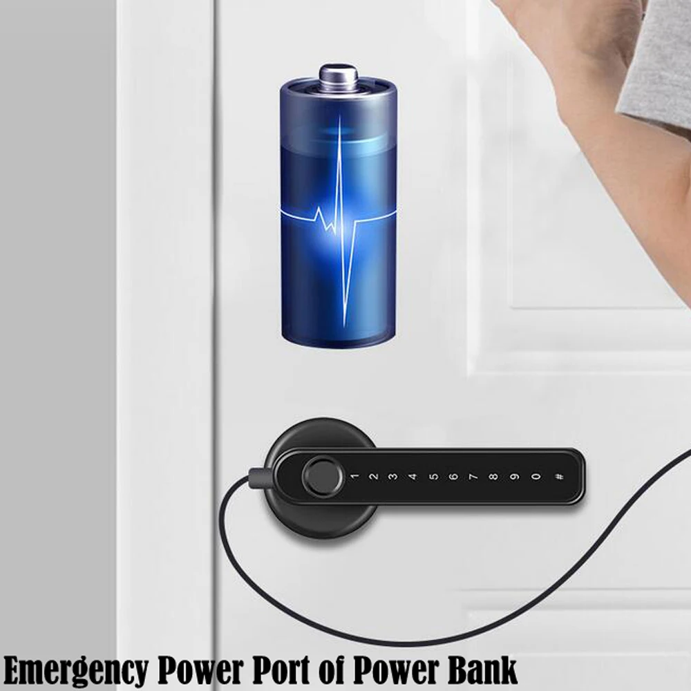 TTLock/tuya APP Smart Fingerprint Lock password code Door Lock Bluetooth Biometr