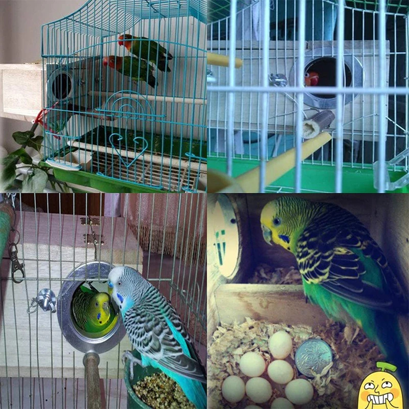 Parakeet Nest Box Bird Cage Natural Pine Wood Bird Nest Breeding Box Cage for Budgie Parrot Egg Accessories