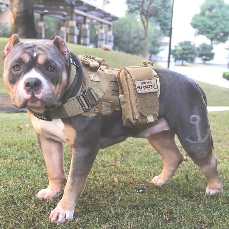 Collar correa para perro, chaleco de arnés de táctico, láser Cobra, de tirantes para perros especiales de policía, equipo al aire libre -