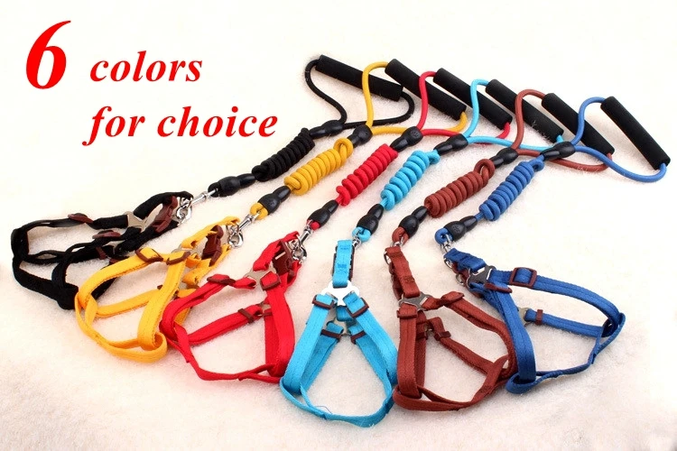 dog harness leash (1)