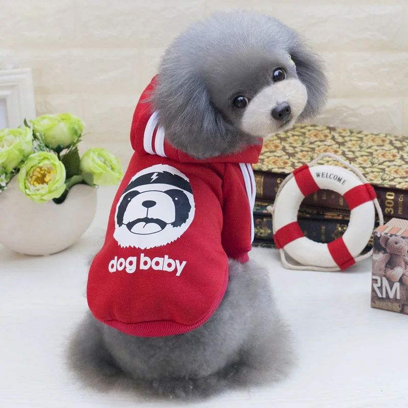 3884138800_277183843