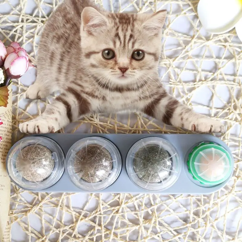 Cat Catnip Ball Set Self-adhesive Rotated Catnip Silvervine Lick Ball Pet Kitten Molar Teething Cleaning Toy Wall Mount indestructible dog toys