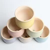 6 Colors Simple Pure Color Ceramic Planter Fleshy Plant Pot Flower Plant Vase Micro Landscape Home Garden Decoration 4