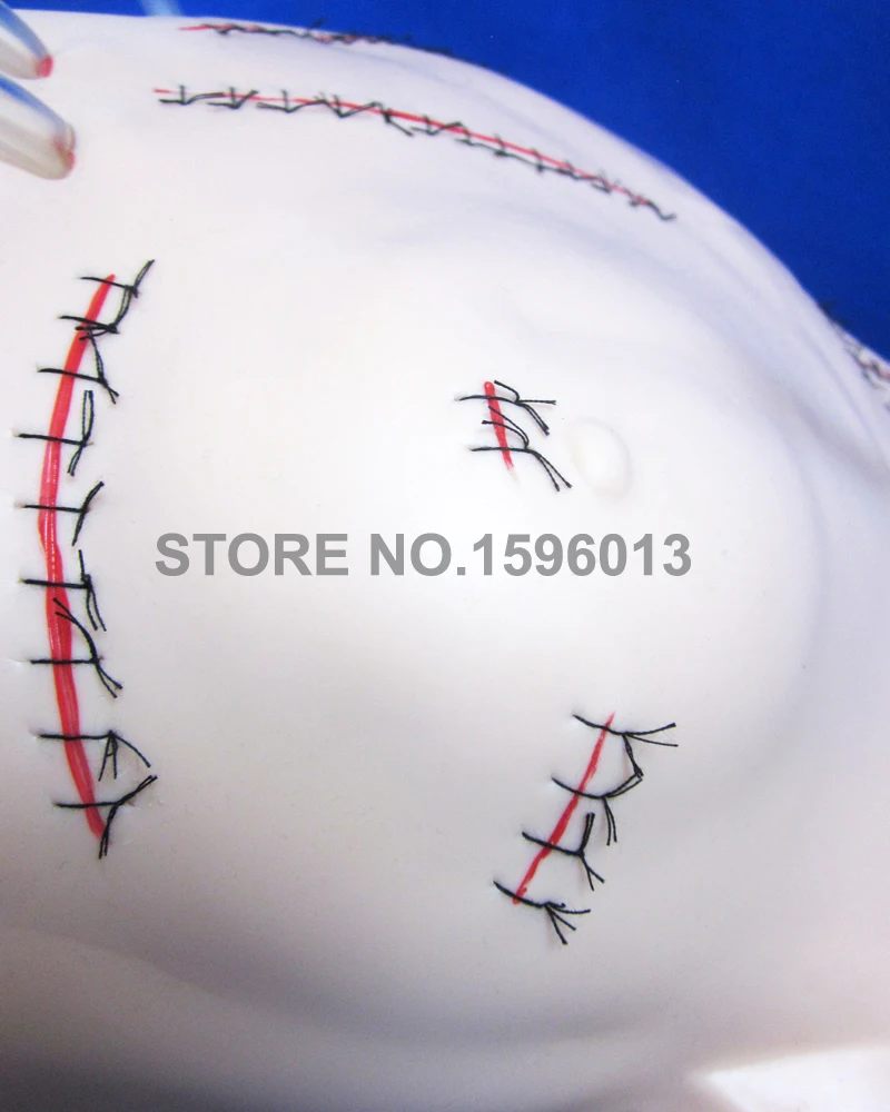 LV18 surgical manikin (2)