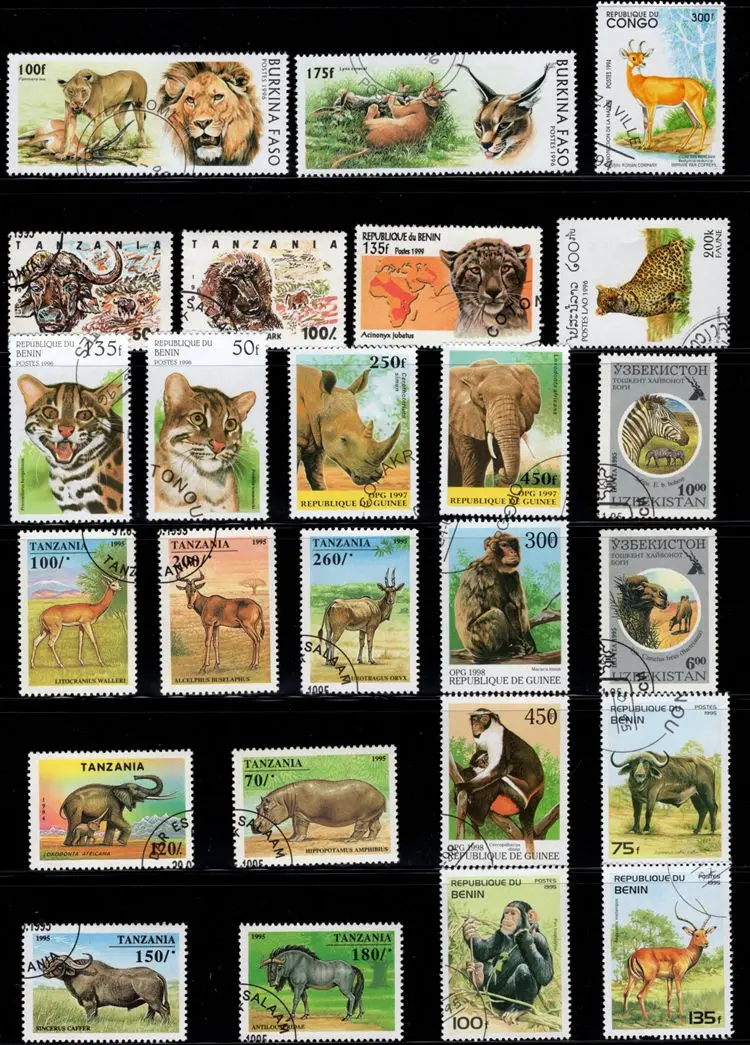 50Pcs/Lot African Wild Animals Stamp All Different From Many Countries NO  Repeat Postage Stamps with Post Mark for Collecting - AliExpress