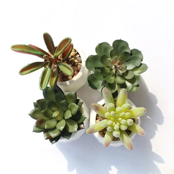 

4 Pcs Mini Vivid Cactus Succulent Bonsai with Pot for Mini Bonsai Potted Placed Green High Quality Fake Plants Table Decoration
